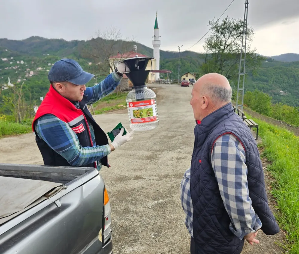 Trabzon’da Kahverengi Kokarca Zararlısına Karşı Feromon Tuzak Çalışmaları Sürüyor
