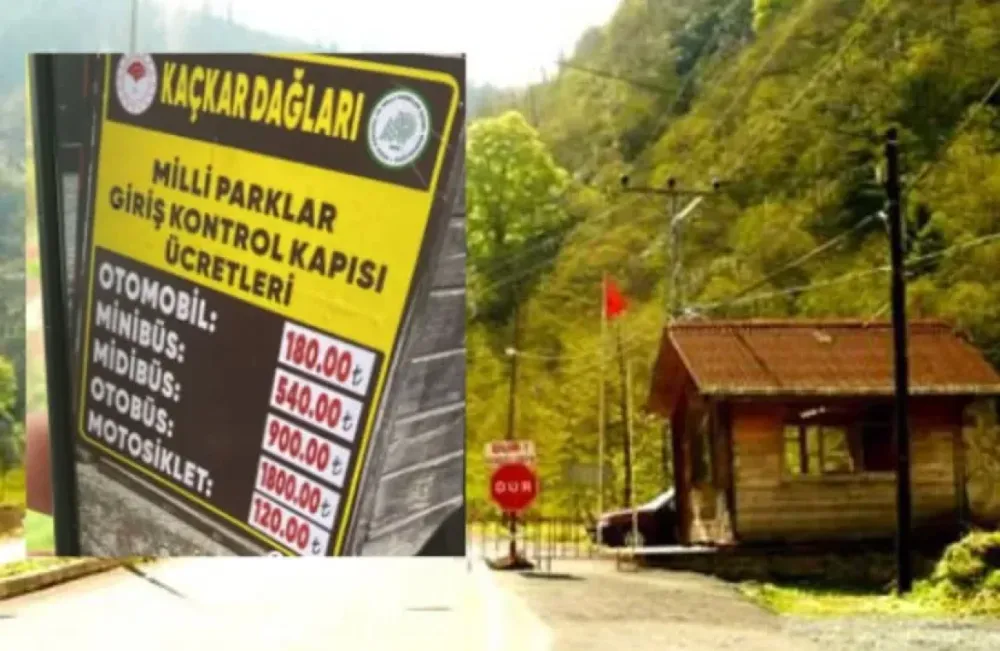 Ayder’deki Yüksek Giriş Ücretleri Turizmi Vurdu! Tur Şirketleri Alternatif Rotalara Yöneliyor
