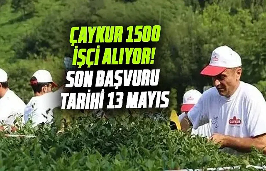 ÇAYKUR 1500 işçi alıyor! Son başvuru tarihi 13 Mayıs