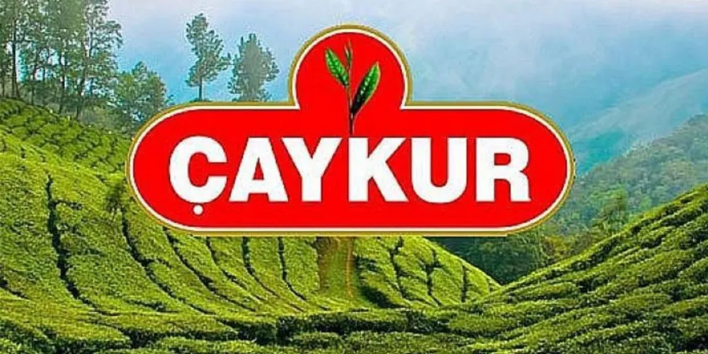 2025 Yaş Çay Fiyatı Açıklandı: Kilogram Başına 25,44 TL