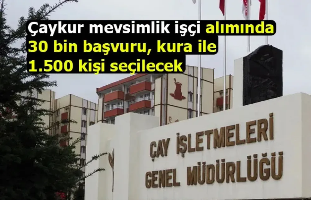 Çaykur mevsimlik işçi alımında 30 bin başvuru, kura ile 1.500 kişi seçilecek
