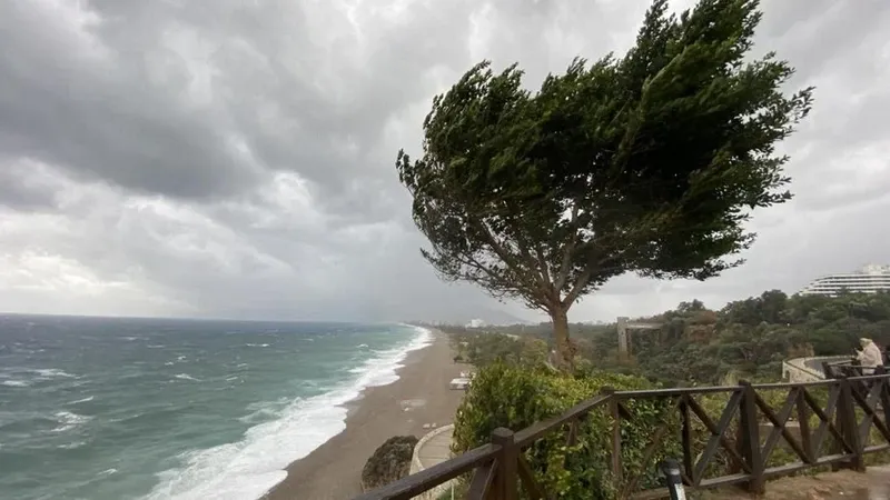 Kastamonu, Sinop, Trabzon, Rize