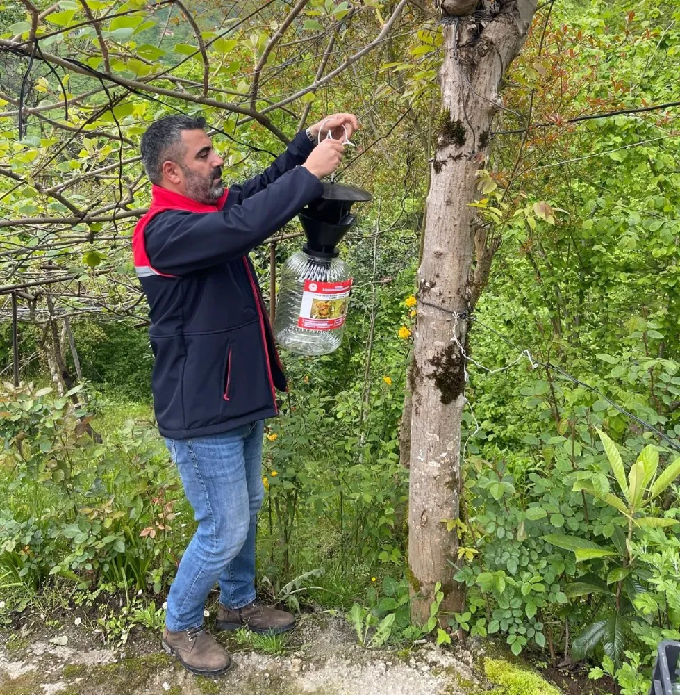 Trabzon’da Kahverengi Kokarca ile Biyoteknik Mücadele Başladı