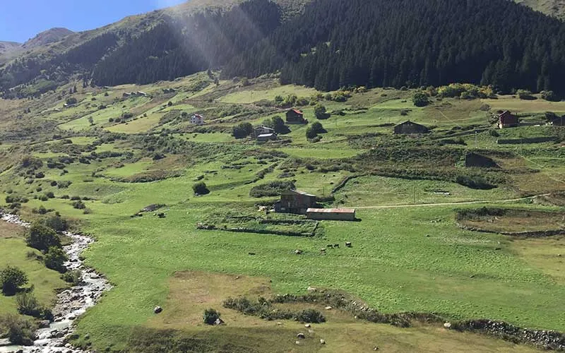 4 Mevsim Turizm Projesi Rize’de Rüyadan Öteye Gidemedi