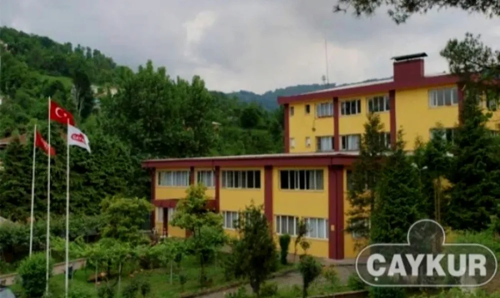 ÇAYKUR’dan Yaş Çay Alımı Açıklaması: Tüm Mahsul Güvence Altında