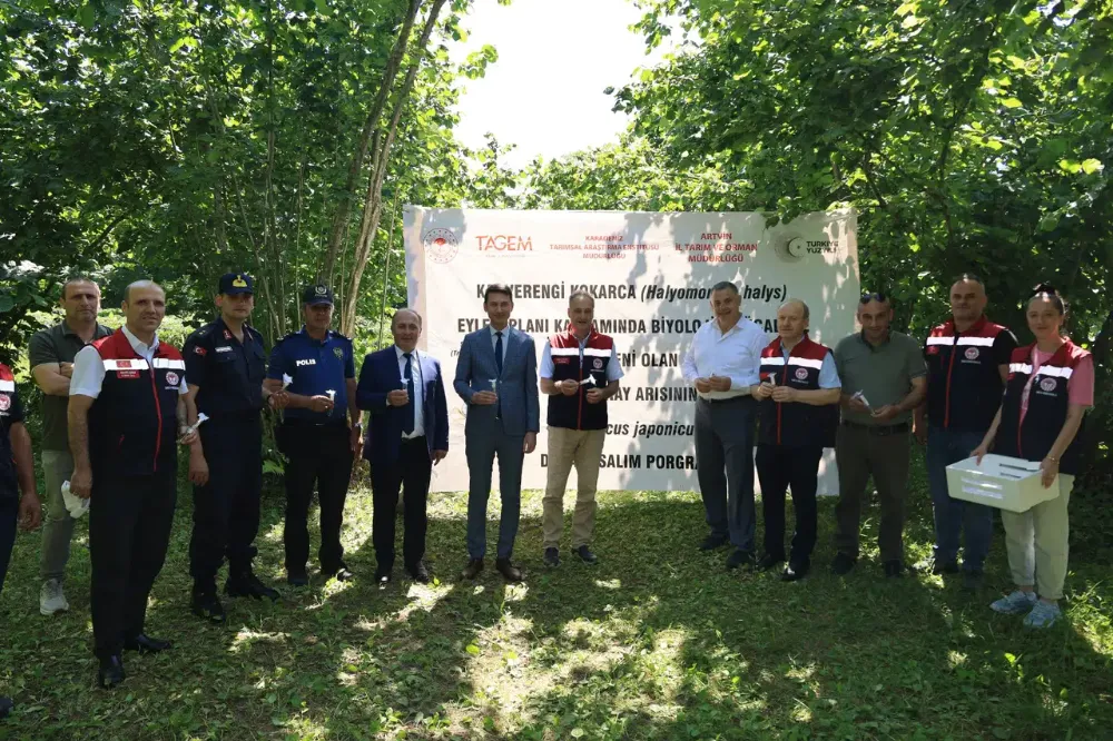 Kahverengi Kokarca Sorununa Çözüm: Samuray Arıları Doğada!