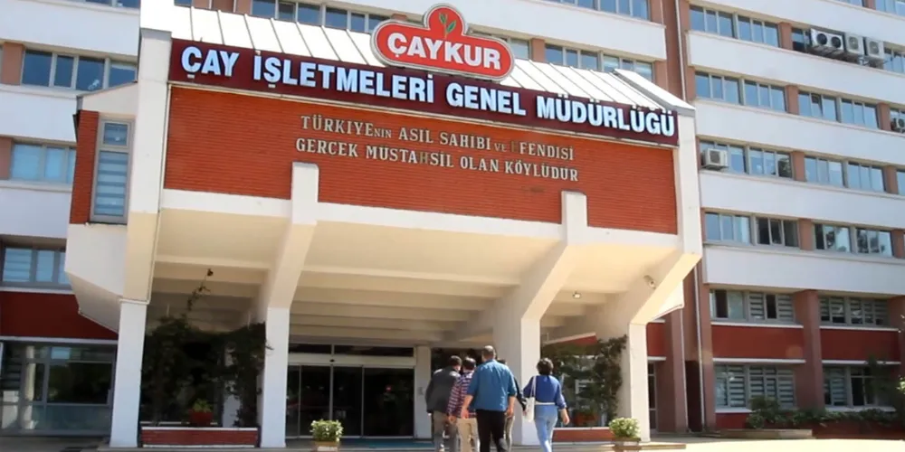 ÇAYKUR, 2025 yaş çay budama bedellerini üreticilerin hesaplarına yatırdı