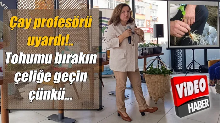 Çay profesörü uyardı: Tohumu bırakın çeliğe geçin çünkü...