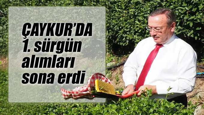ÇAYKUR