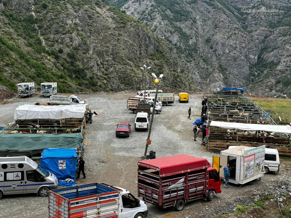 Artvin