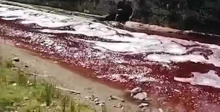 Çiftekavak Deresi Kurban Kanıyla Kırmızıya Büründü, Çevre Kirliliği Artıyor