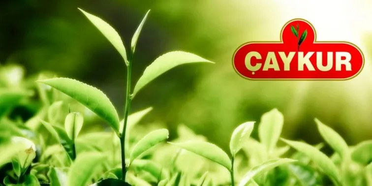 ÇAYKUR’dan İkinci Sürgün Uyarısı: Üreticilere Sabır Çağrısı