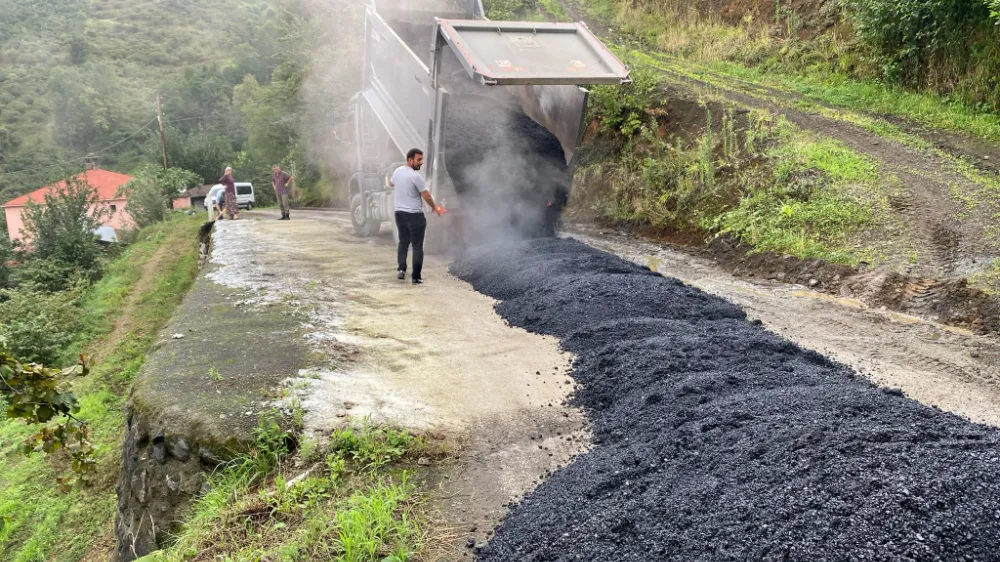 Vakfıkebir
