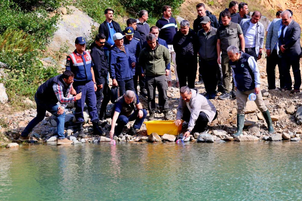 Yusufeli Derelerine 5 Bin Yavru Alabalık Bırakıldı
