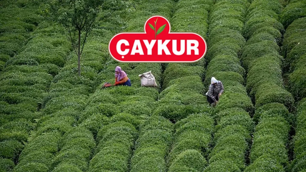 Çaykur İkinci Sürgünde 300 Bin Tonu Aştı