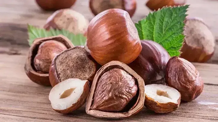 TMO 2025 Fındık Fiyatlarını Açıkladı: Kilogram Başına Giresun 200 TL, Levant 195 TL