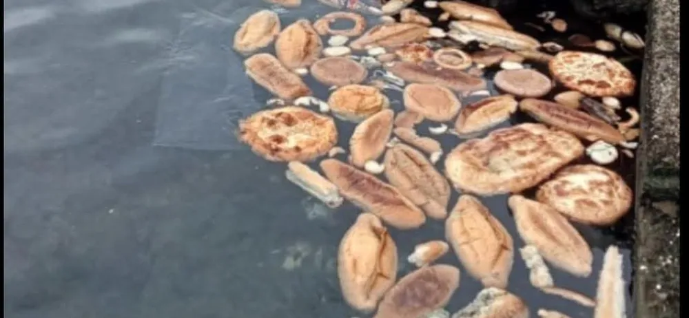 Rize’de Denize Dökülen Ekmek ve Simit Tepki Çekti
