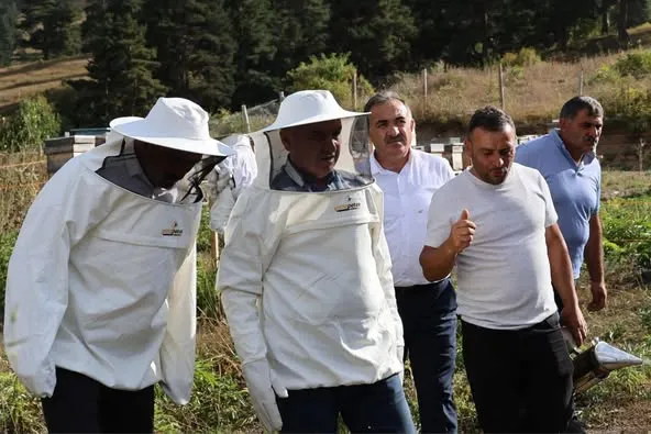 Artvin Valisi Turan Ergün, Ardanuç’ta Türkiye’nin İlk Yeşil Balının Sağımına Katıldı