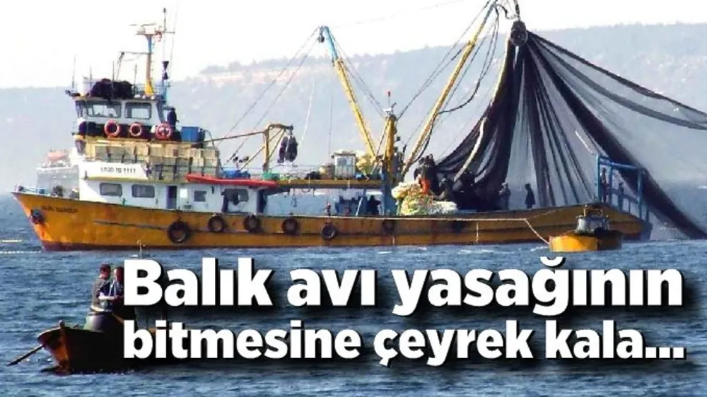 Balık avı yasağının bitmesine çeyrek kala…