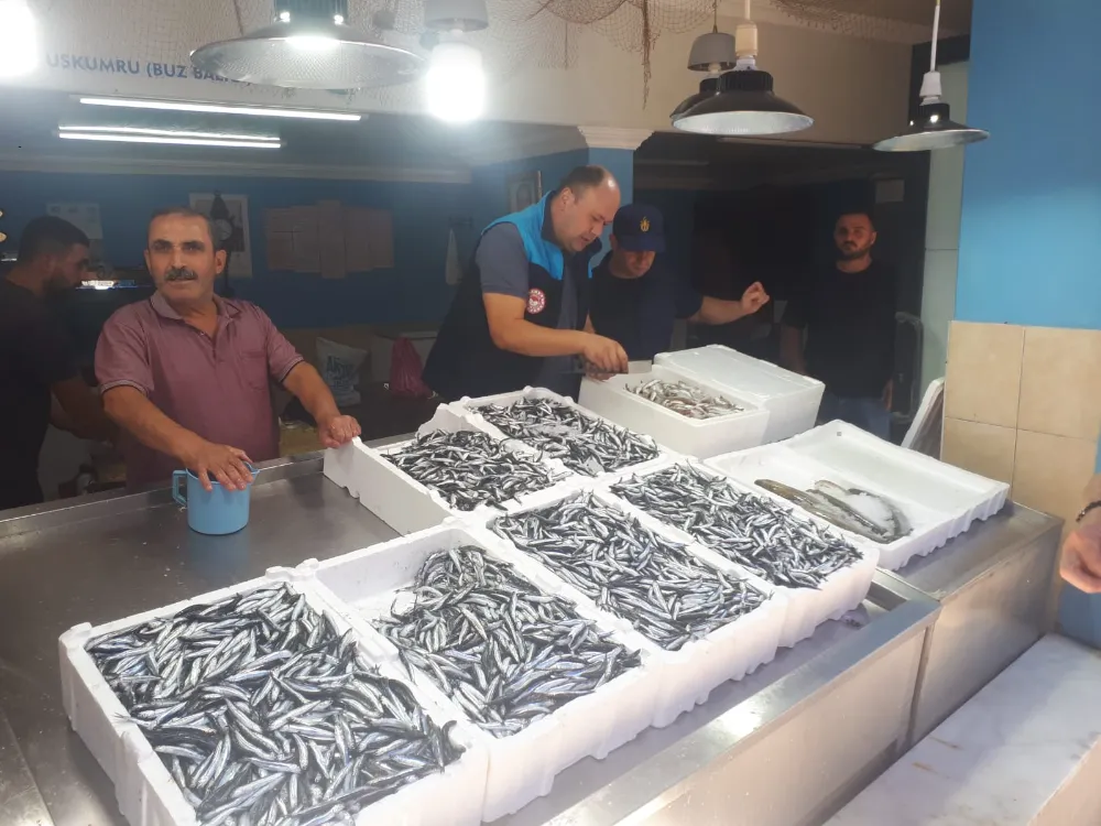 Yomra’da Su Ürünleri Denetimleri Sıklaştırıldı: Vatandaşlara Güvenli ve Sağlıklı Ürün Garantisi