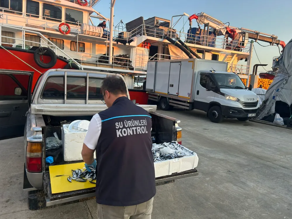 Trabzon’da Hamsi Avcılığına Sıkı Denetim: Karaya Çıkış Noktalarına Dikkat
