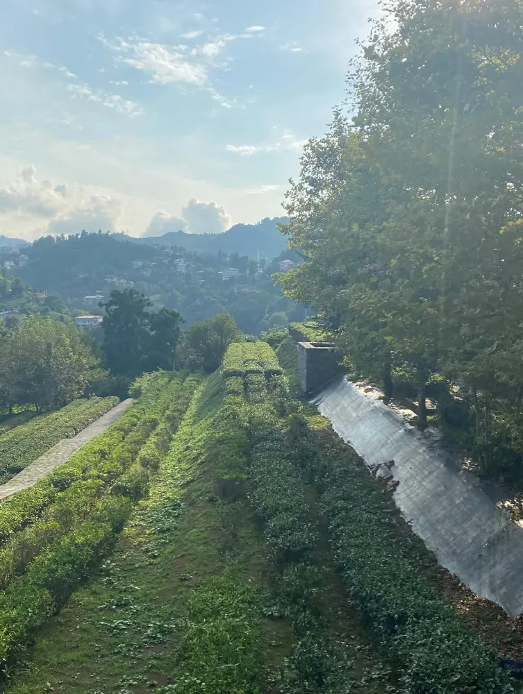 Artvin Ticaret Borsası Yüksek İstişare Kurulu ÇAYKUR’u Ziyaret Etti