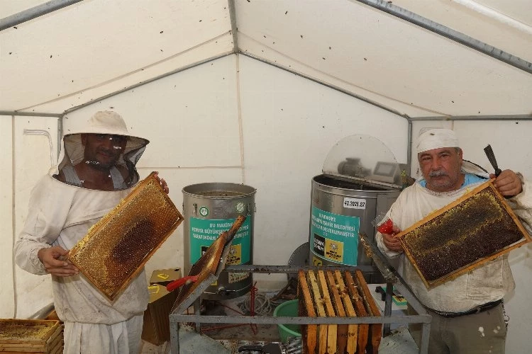 Bal hasadı başladı, modern arıcılıkta rekolteler arttı