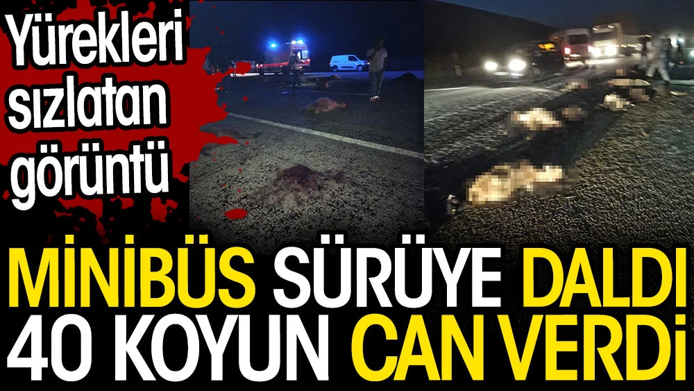 Tatvan
