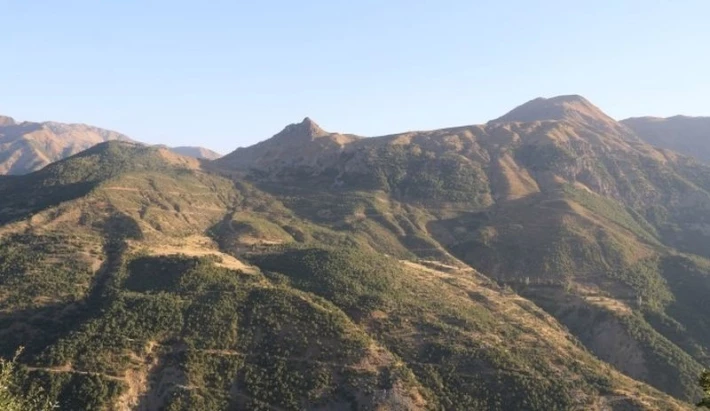 Bakanlıktan Bitlis’teki ağaç kesimlerine yanıt: Ormanı gençleştiriyoruz