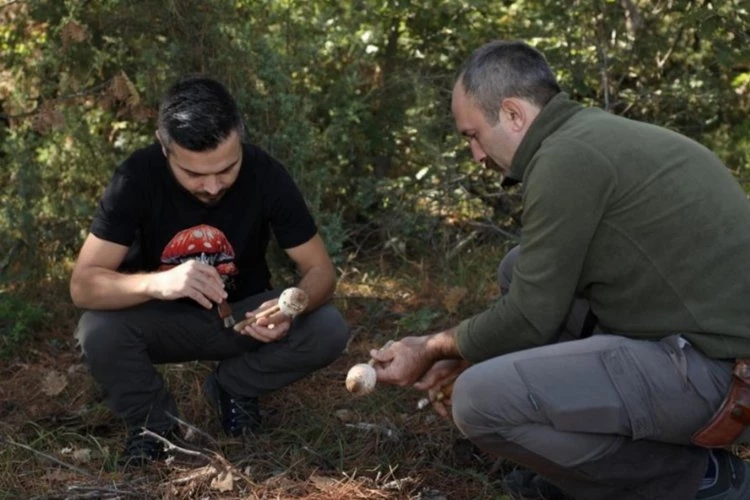 Mantar avcıları Bursa İnegöl