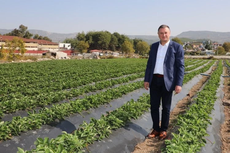 Başkan Savaş: ″Hatay