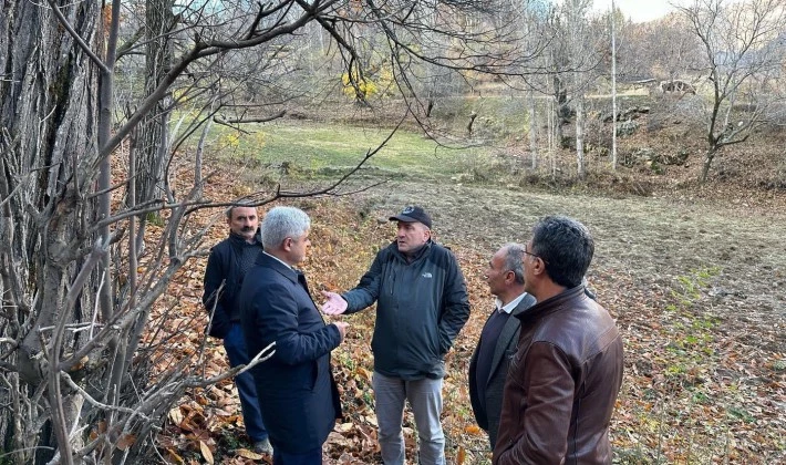 Bitlis’te kestane üretiminde verimi arttırma çalışmaları sürüyor