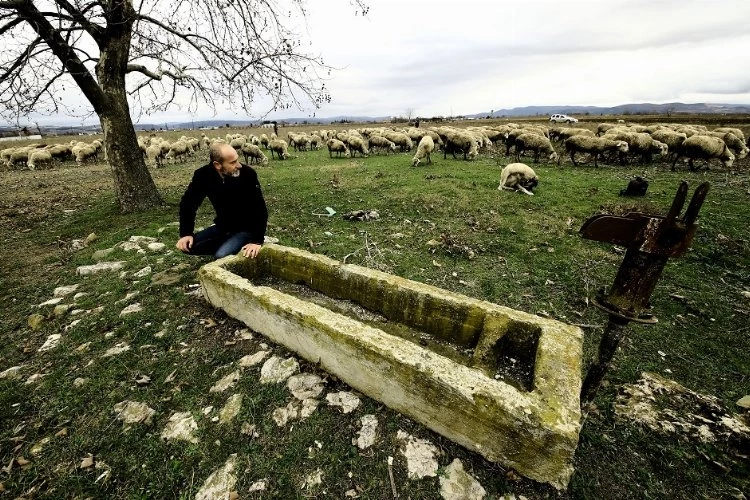 Bursa Yenişehir Ovası