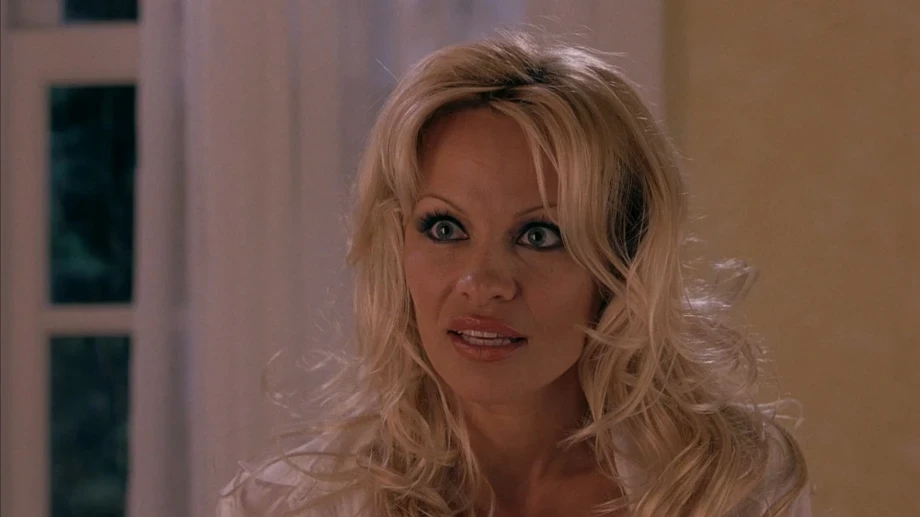 Pamela Anderson Kimdir? Ünlü Oyuncu ve Model Pamela Anderson Kimdir? Kaç Yaşında, Nereli?
