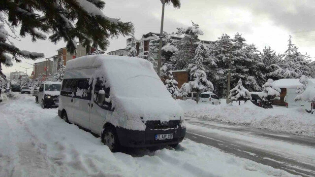 BİTLİS