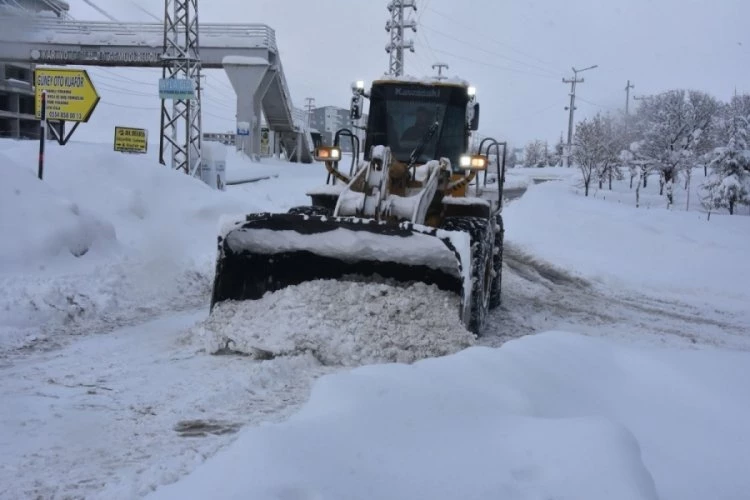 Bitlis