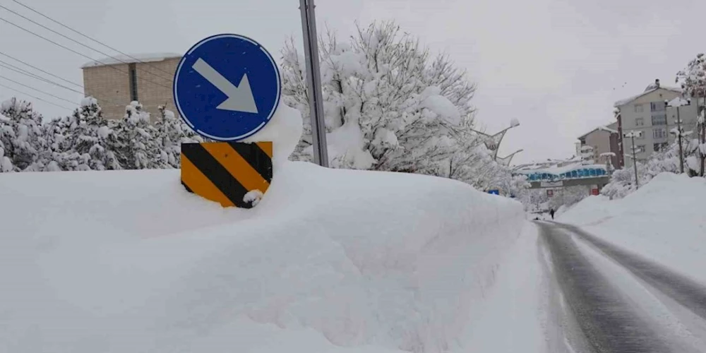 Bitlis’te 251 köy yolu ulaşıma kapandı