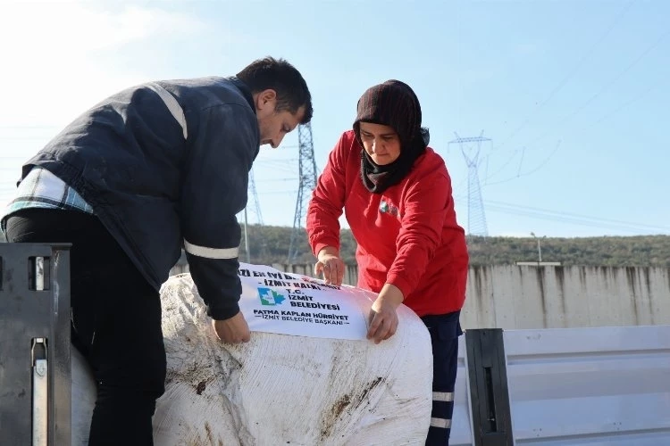 Depremzede çiftçiye destek
