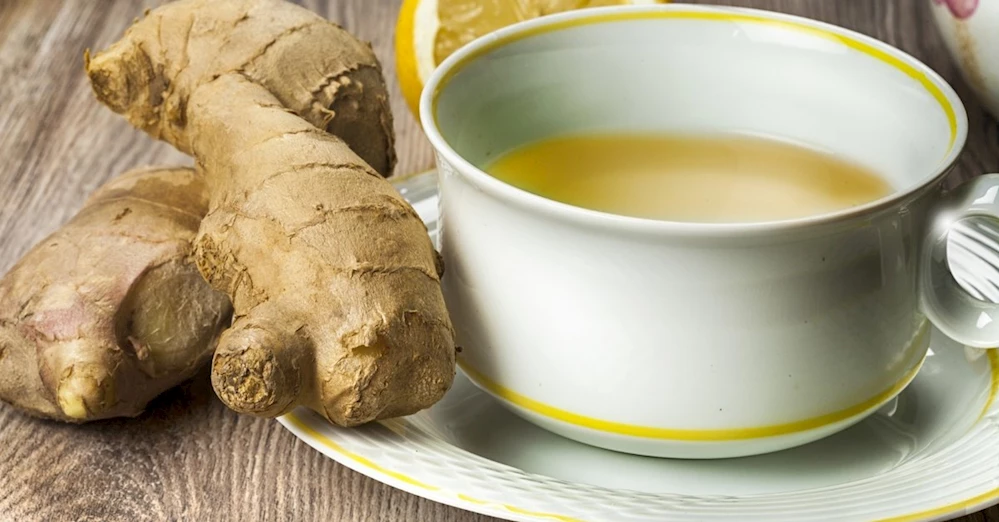 Zencefil Çayı Bitkisinin Faydaları Nelerdir? Zencefil Çayı Bitkisi Nasıl Demlenir?