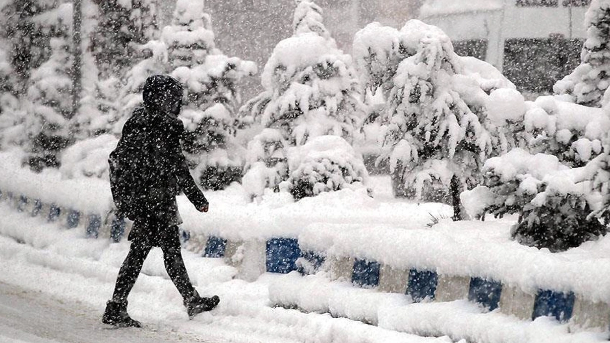 Artvin