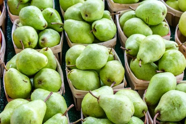 Rüyada armut görmek ne anlama gelir, neye işarettir? Rüyada armut görmenin anlamı nedir?