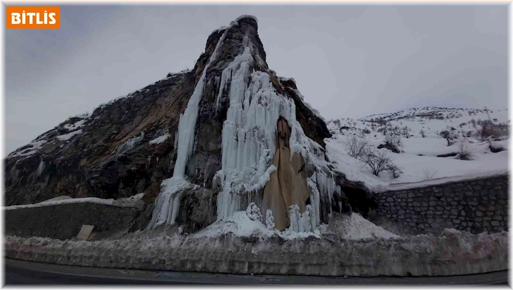 Bitlis