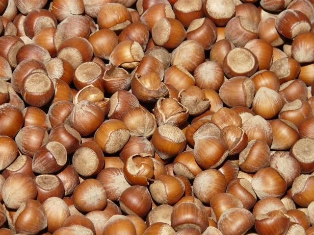Rüyada fındık görmek ne anlama gelir, neye işarettir? Rüyada fındık görmenin anlamı nedir?