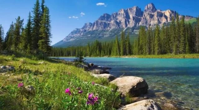 Rüyada nehir görmek ne anlama gelir, neye işarettir? Rüyada nehir görmenin anlamı nedir?