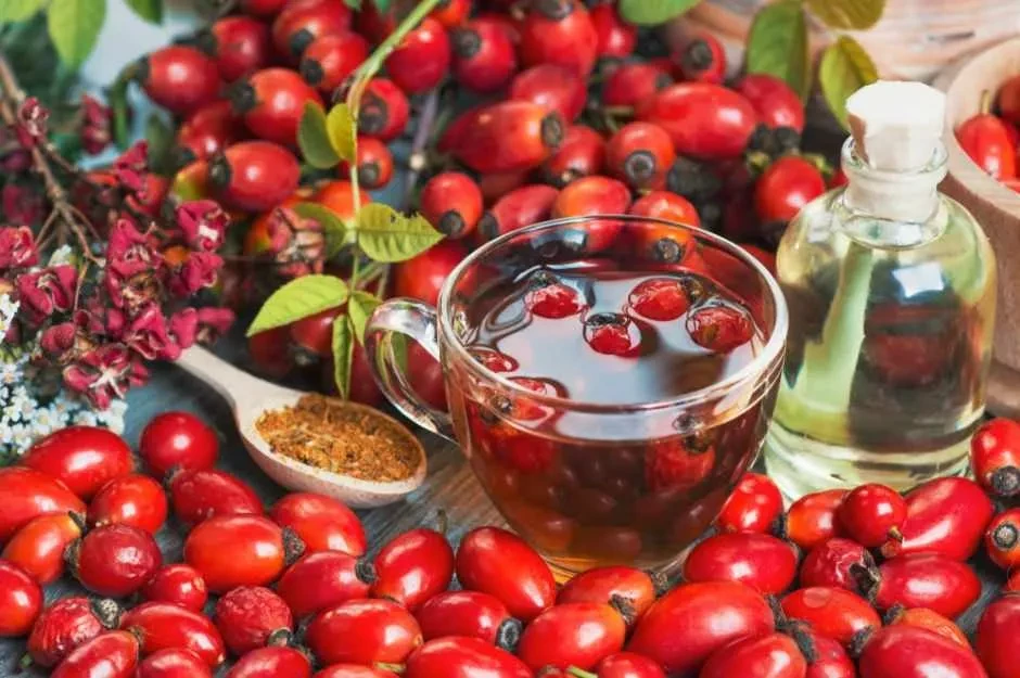 Kuşburnu Çayı Nasıl Hazırlanır? Kuşburnu Çayı Faydaları Nelerdir? Kuşburnu Çayı Nerelerde Kullanılır?