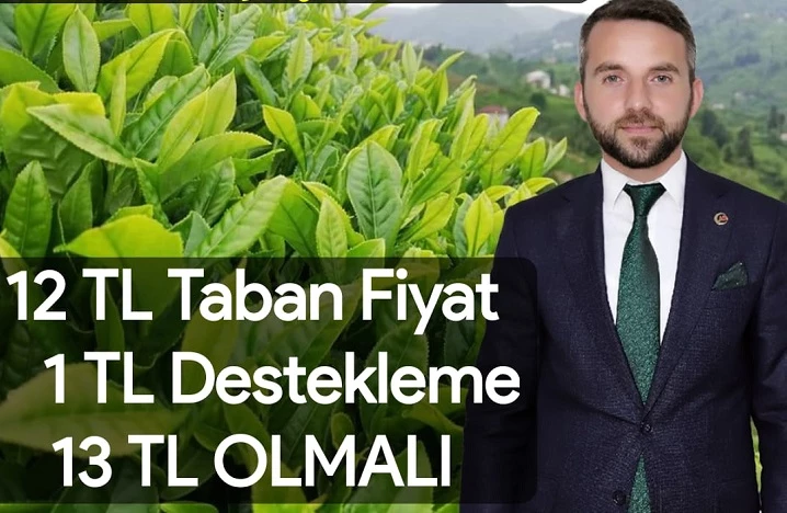 2023 Yaş Çay Fiyatı 13 Lira Olmalı