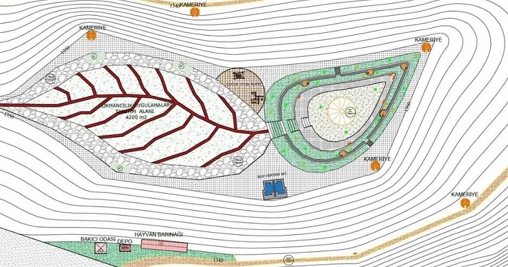 Artvin’de Terapi Orman Parkı Kuruluyor 