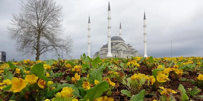 Doğu Karadeniz’in en büyük cami ve külliyesi olacak