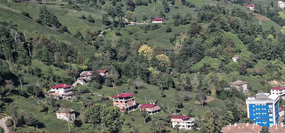 Rize