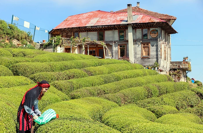 Rize doğal güzelliğiyle ziyaretçilerine görsel şölen sunuyor